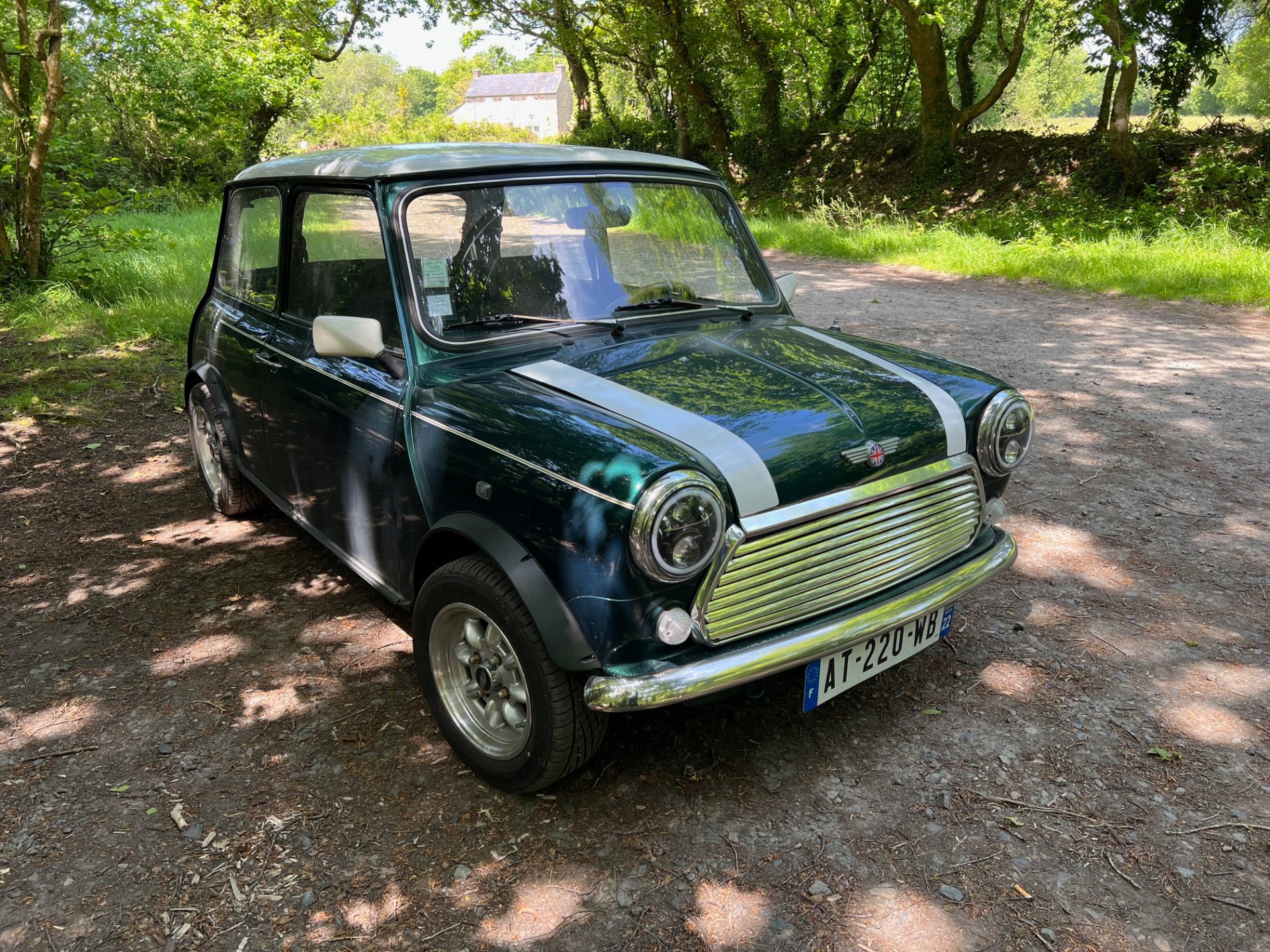 AUSTIN MINI Racing Green